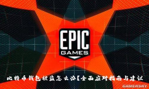 比特币钱包被盗怎么办?全面应对指南与建议