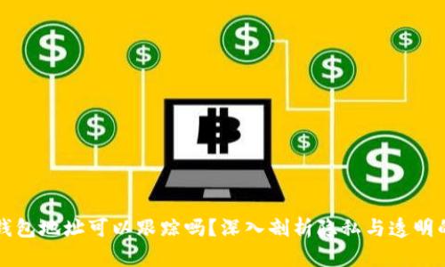 虚拟币钱包地址可以跟踪吗?深入剖析隐私与透明的双面性