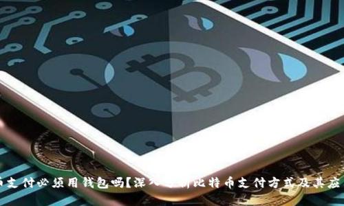 比特币支付必须用钱包吗?深入分析比特币支付方式及其应用场景