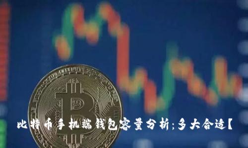 比特币手机端钱包容量分析:多大合适?