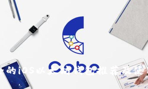 最安全的iOS以太坊钱包推荐及使用指南