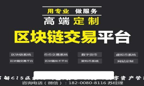 深入了解C15区块链钱包:安全、便捷的数字资产管理工具