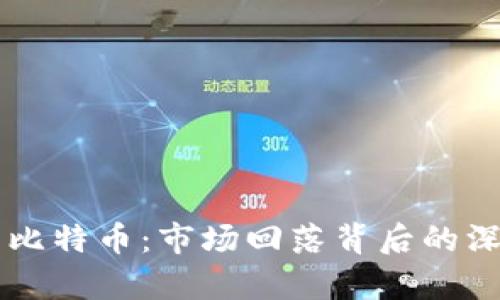 区块链与比特币：市场回落背后的深层次解析