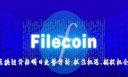 区块链价格明日走势分析:抓住机遇、捕捉机会!