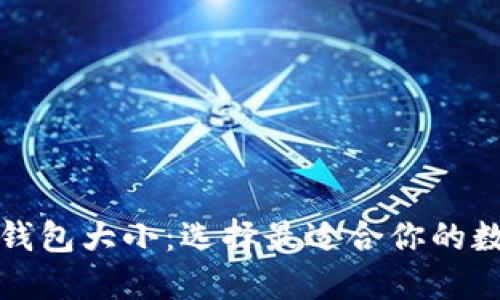 深入了解以太坊钱包大小:选择最适合你的数字资产管理方案
