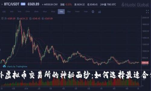 揭开国外虚拟币交易所的神秘面纱：如何选择最适合你的平台