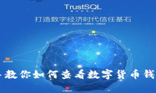 手把手教你如何查看数字货币钱包流水