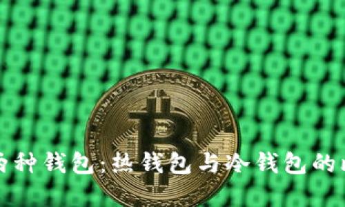 以太坊的两种钱包：热钱包与冷钱包的比较与选择