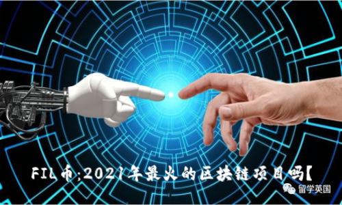 FIL币：2021年最火的区块链项目吗？