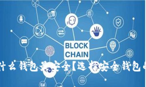 虚拟币用什么钱包最安全？选择安全钱包的全面指南