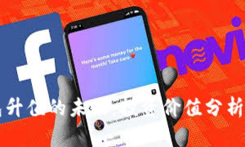 以太坊钱包升值的未来：投资价值分析与风险评估