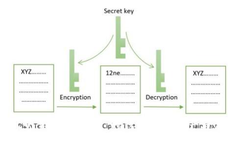 丝路视觉：探索 Web3 时代的数字资产与创新机遇