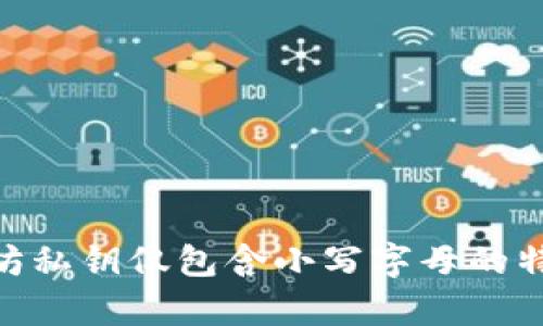 Tokenim以太坊私钥仅包含小写字母的特点与风险分析