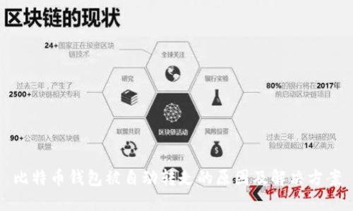 比特币钱包被自动转走的原因及解决方案