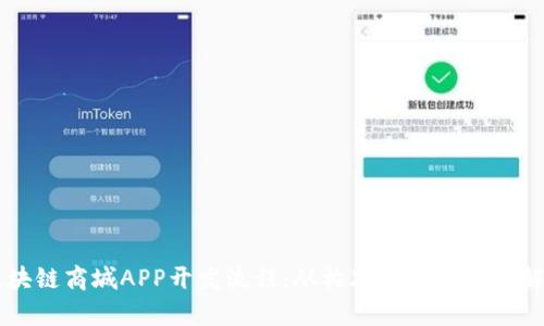 区块链商城APP开发流程：从构思到上线的全解析